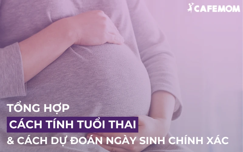 TỔNG HỢP CÁCH TÍNH TUỔI THAI & CÁCH DỰ ĐOÁN NGÀY SINH CHÍNH XÁC