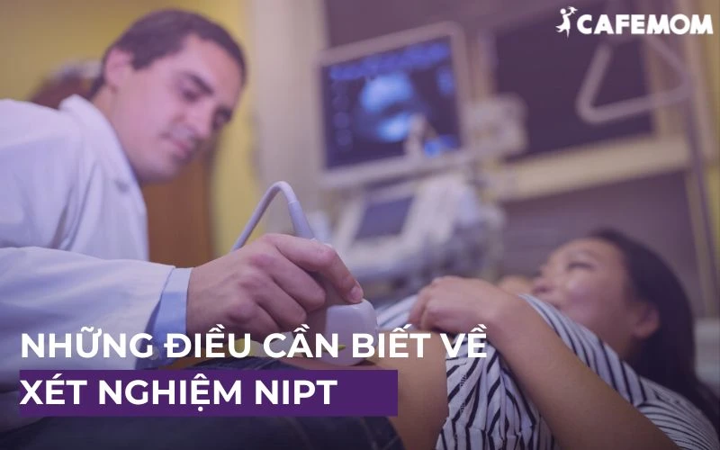 XÉT NGHIỆM NIPT LÀ GÌ? CHI PHÍ VÀ NHỮNG ĐIỀU CẦN BIẾT VỀ NIPT