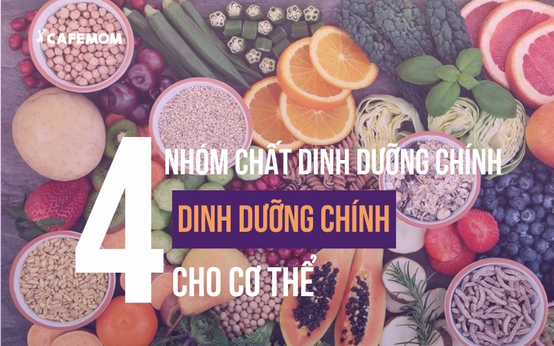 TỔNG HỢP 4 NHÓM CHẤT DINH DƯỠNG CHÍNH CHO CƠ THỂ