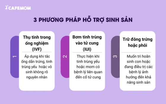 3 phương pháp hỗ trợ sinh sản