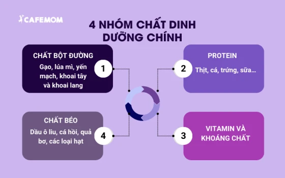 4 nhóm chất dinh dưỡng chính đóng vai trò quan trọng