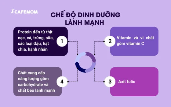 Chế độ dinh dưỡng lành mạnh gồm 4 nhóm chất