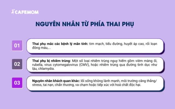 Các nguyên nhân từ thai phụ