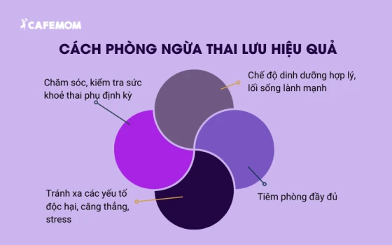 Cách phòng ngừa thai lưu hiệu quả