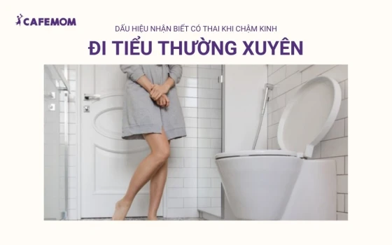 Khi mang thai phụ nữ có thể đi tiểu thường xuyên hơn