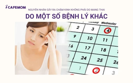 Các bệnh lý phụ khoa hoặc các vấn đề về tuyến giáp cũng có thể gây ra chậm kinh