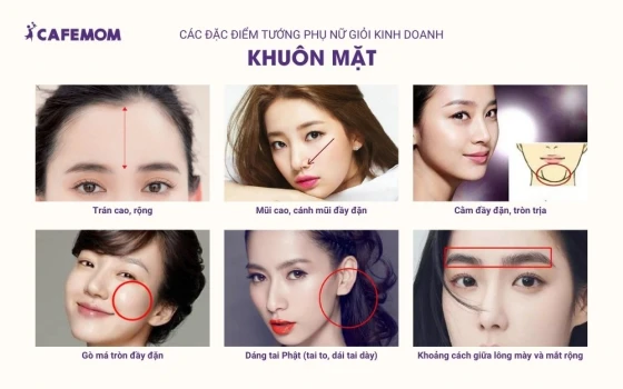 Khuôn mặt của phụ nữ phản ánh năng lực lãnh đạo và khả năng kinh doanh