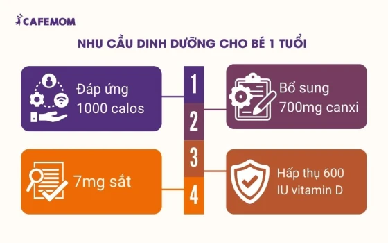 Nhu cầu dinh dưỡng cho bé 1 tuổi theo Học viện Nhi khoa Hoa Kỳ