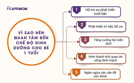 Tại sao nên cập nhật các xu hướng thiết kế nội thất mới nhất?