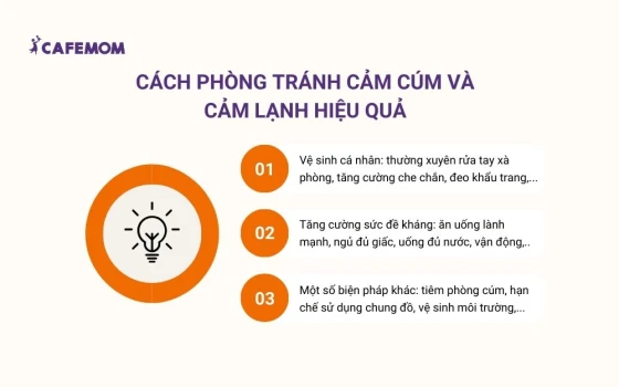 Cách phòng tránh cảm cúm và cảm lạnh hiệu quả