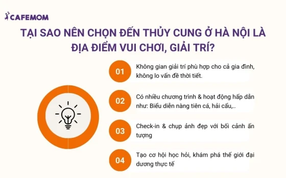 Tại sao nên chọn đến thủy cung ở Hà Nội là địa điểm vui chơi, giải trí?