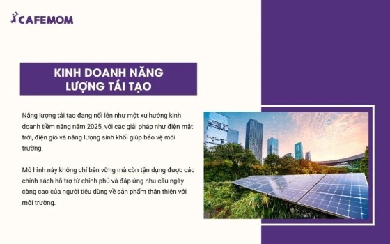 Năng lượng tái tạo nổi lên như một xu hướng kinh doanh tiềm năng trong thời gian tới