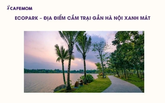 Ecopark hiện lên như một ốc đảo xanh mát với hồ Thiên Nga lộng lẫy