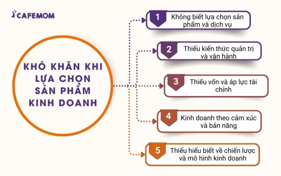 Những khó khăn doanh nghiệp gặp phải khi lựa chọn sản phẩm kinh doanh