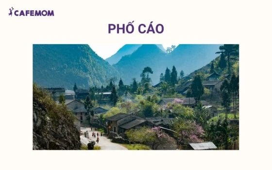 Phố Cáo là bản làng nhỏ giữa cao nguyên đá nổi bật với ngôi nhà trình tường mộc mạc