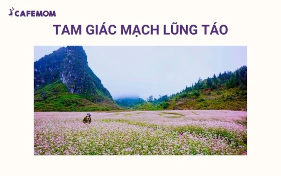 Tam Giác Mạch Lũng Táo trở thành điểm đến yêu thích vào mùa thu ở Hà Giang