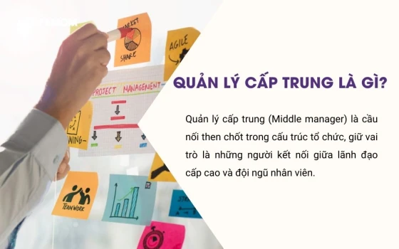 Quản lý cấp trung giữ vai trò là những người kết nối giữa lãnh đạo cấp cao và đội ngũ nhân viên.