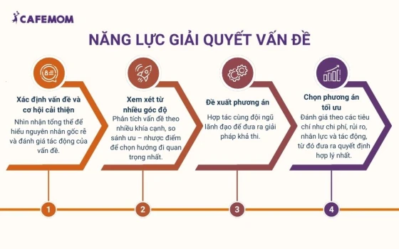 Năng lực giải quyết vấn đề