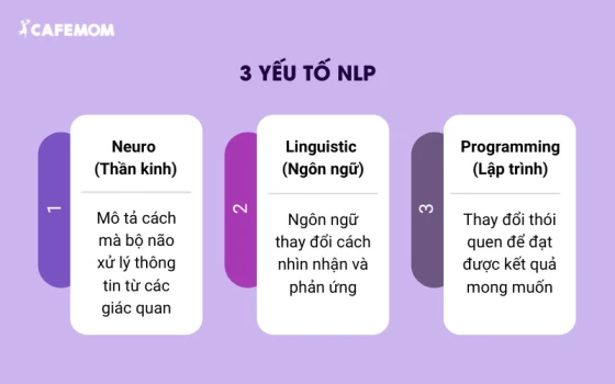 3 yếu tố quan trọng trong phương pháp NLP