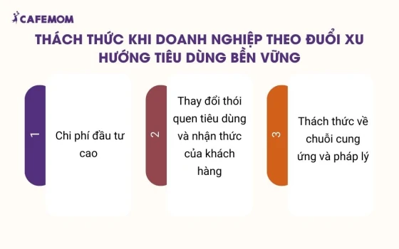 Thách thức khi doanh nghiệp theo đuổi xu hướng tiêu dùng bền vững