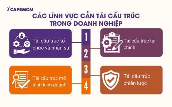 Các lĩnh vực cần tái cấu trúc trong doanh nghiệp