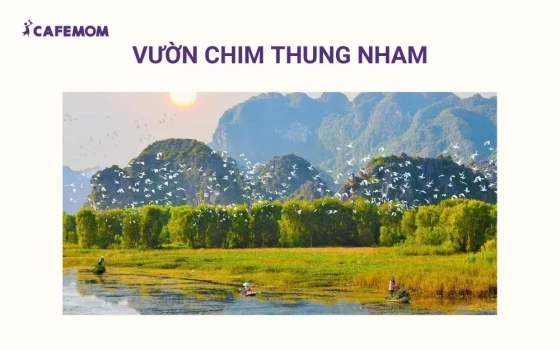 Vườn chim Thung Nham là thiên đường dành cho những người yêu thiên nhiên hoang dã