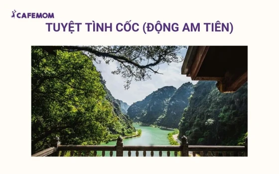 Thung Lũng là một thung lũng nằm lọt thỏm giữa những vách núi đá cao sừng sững