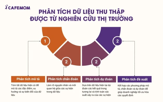 Phân tích dữ liệu thu thập được từ nghiên cứu thị trường